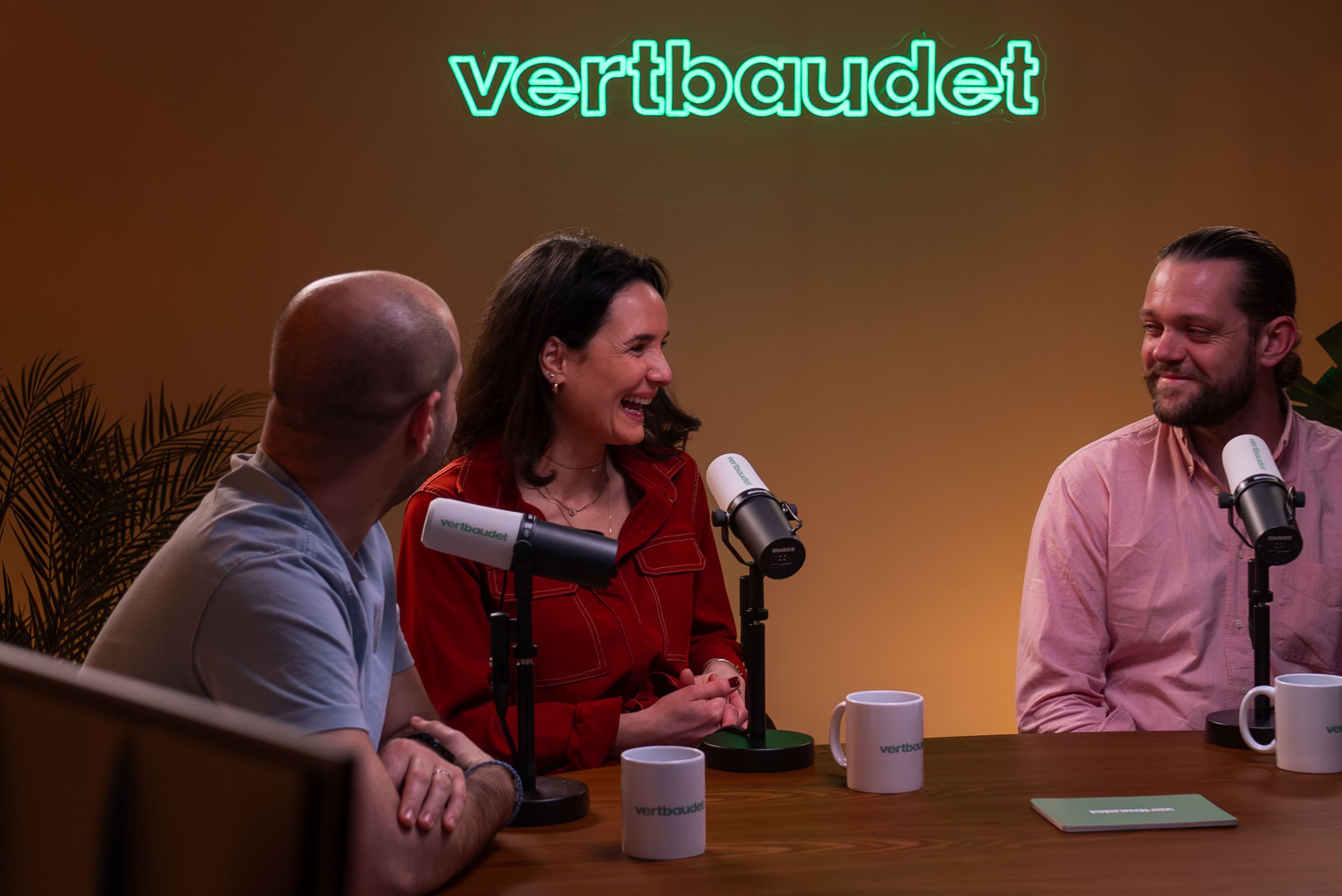 Studio Cozy, l'enregistrement podcast à plusieurs, vue 4 sur 6