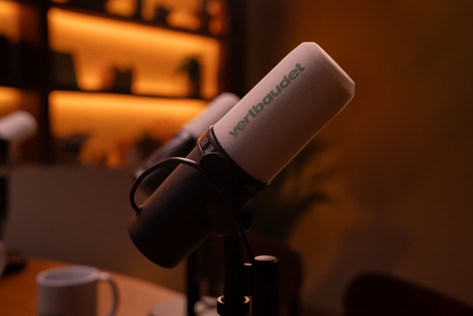 Animateur podcast professionnel : comment réussir les interviews qui valorisent votre entreprise ?